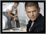 Aktor, Wentworth Miller